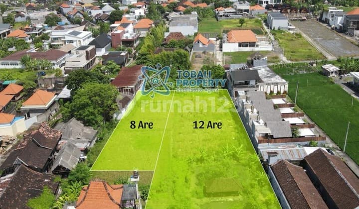 Disewakan Lokasi Tanah Kavling Exclusive di Kedampang, Kerobokan