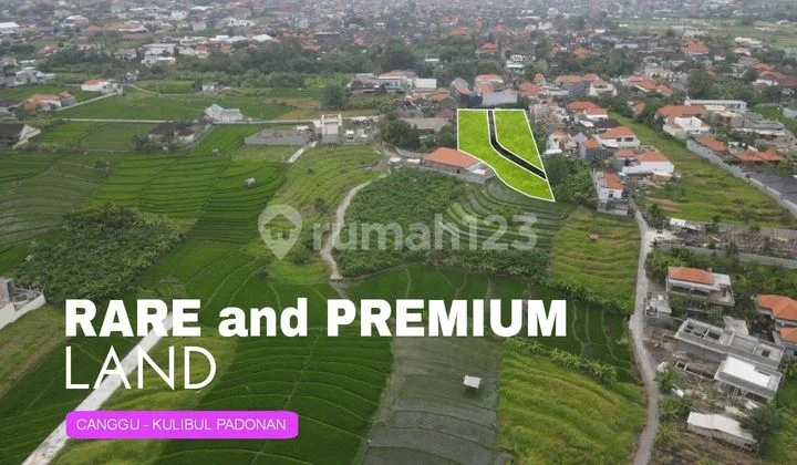 Dijual Cepat Tanah Kavling Lokasi Canggu - Kulibul