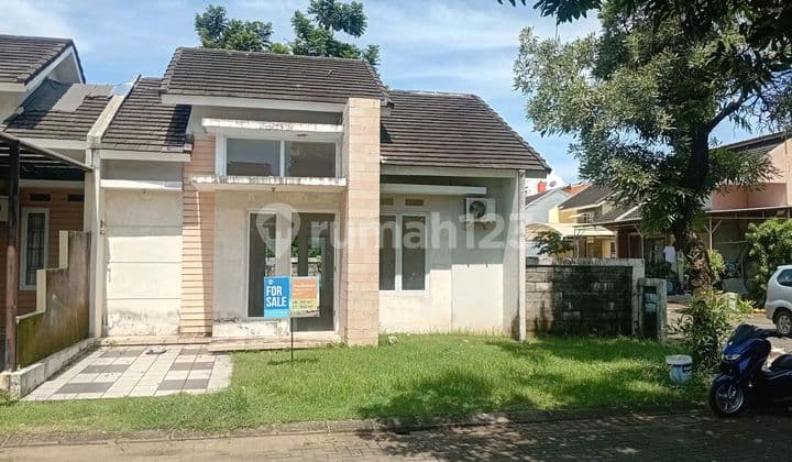 The Elysium Siap Huni Posisi Sudut Tanjung Bunga Makassar