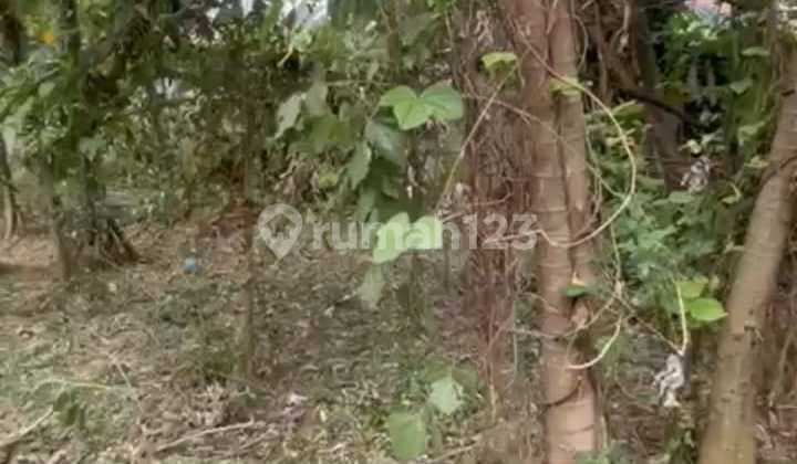 Super Hot Sale Jual Di Bawah Harga : NJOP Tanah Kosong, Di Jagakarsa