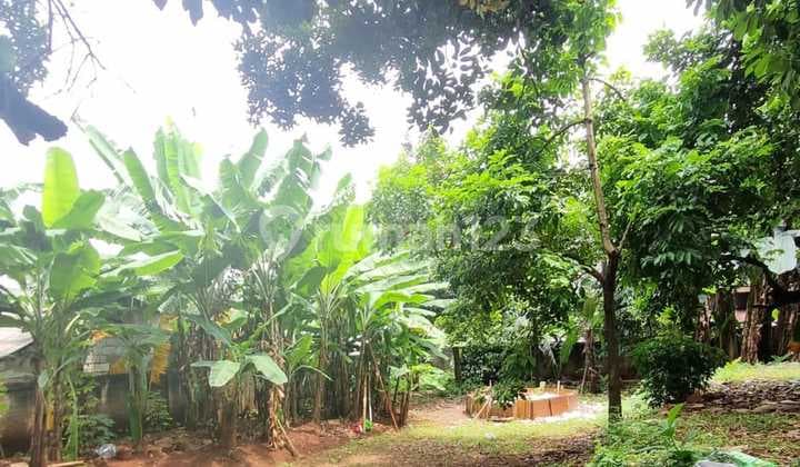 Tanah Murah Luas Veteran Bintaro Jakarta Selatan untuk Cluster