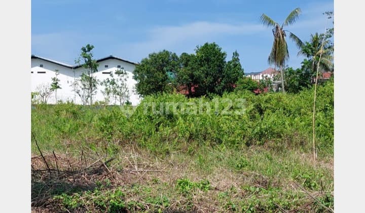 Tanah Leuwisadeng Luas 800 m Murah Strategis Cocok Dibangun Rumah