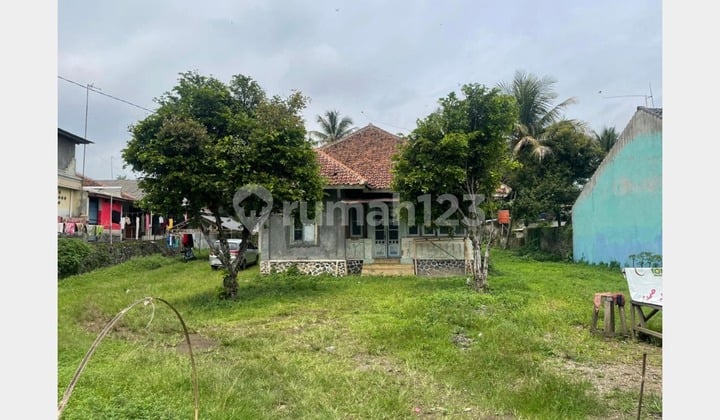 Tanah Subang Luas 1250 m2 SHM Cocok Dibangun Rumah atau Investasi