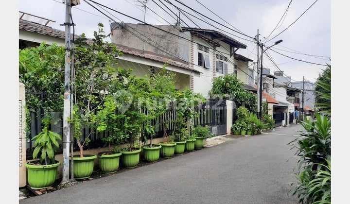 Rumah Menteng Dalam SHM Luas Dekat Kokas dan KRL Cocok untuk Kost
