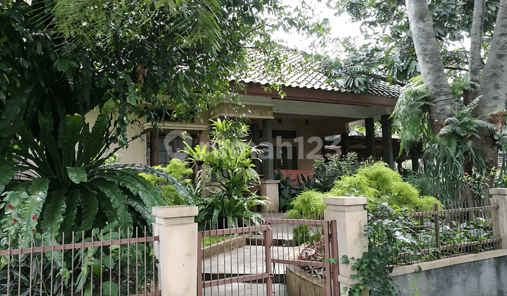 Rumah Asri Baranangsiang Indah Bogor Timur Halaman Luas Siap Huni