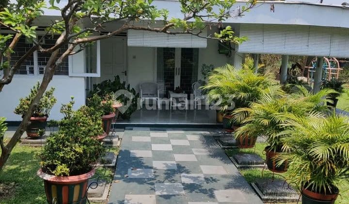 Rumah Asri Halaman Luas Dengan 5 Bangunan Terpisah + Kolam Renang
