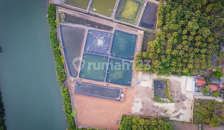 Tanah Matang dan Tambak Dijual di Batu Karas Pangandaran