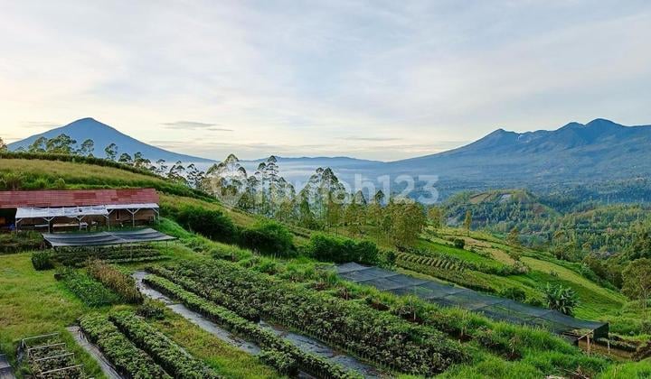 Jual Tanah Dengan Kebun Dan Peternakan di Kamojang Garut