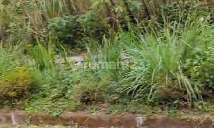 Jual Tanah View Pohon Pinus di Komplek Panorama Indah Lembang Jual Tanah View Pohon Pinus di Komplek Panorama Indah Lembang