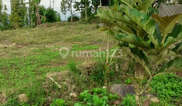 For Sale: Truck-Accessible Garden Land in Sukamulya, Ciwidey, Bandung