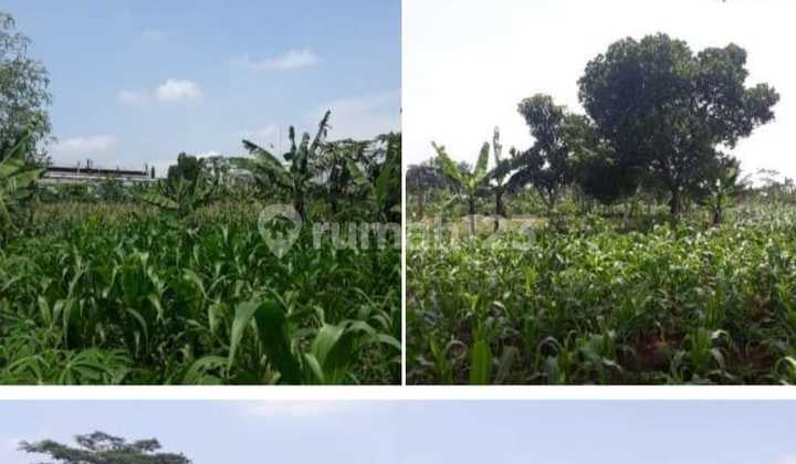 Kavling Tanah Luas di Daerah Kertajaya Padalarang Bandung Kavling Tanah Luas di Daerah Kertajaya Padalarang Bandung