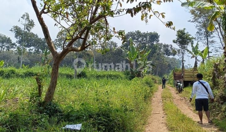 Kabupaten Malang Tanah Pekarangan Utk Perumahan Dijual Cepat,shm Sdh Split