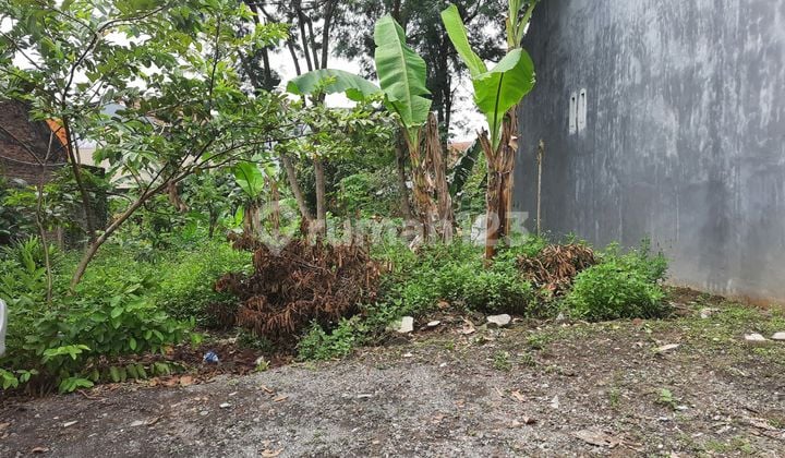 Tanah Karangrejo, Banyumanik,sttgs Dkt Rs Hermina