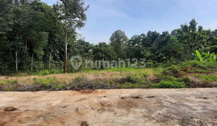 Patemon Land Near Unnes Campus Gunungpati