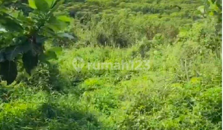 Tanah Kavling Sentul, Tangkil - Citeurup Bogor