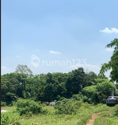 DIJUAL TANAH 9013m SHM Bebas Banjir Di CIKEUSAL SERANG