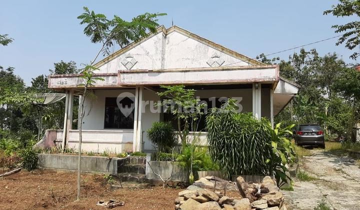 Dijual Cepat Tanah Murah Di Cidahu Bojong Harga Murah