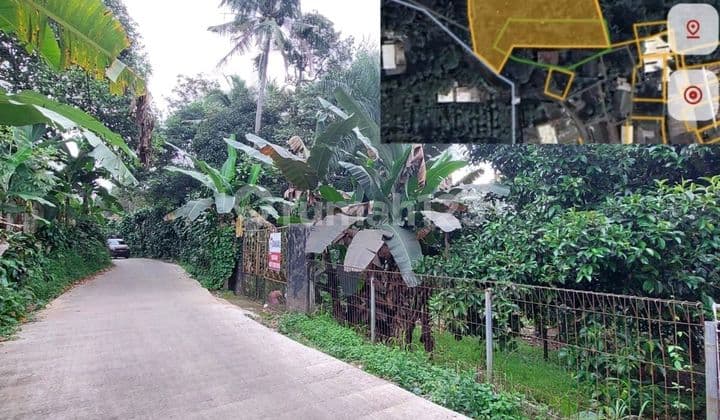 Tanah Luas di Tamansari Ciapus Bogor Akses Bagus Sertifikat SHM