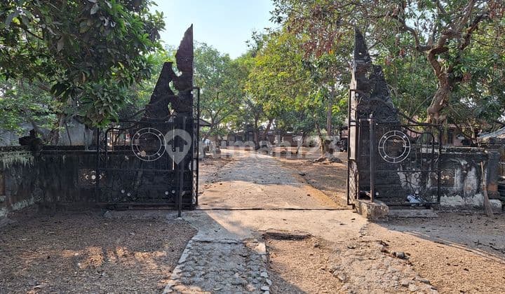 Dijual Rumah Omah Biyen Lippo Karawaci Tangerang