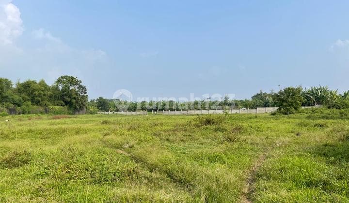 Di Jual Tanah Kosong utk Cluster Perumahan atau Ruko di Cikampek, kabupaten Karawang