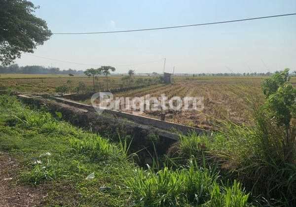 Lahan Tanah Untuk Perumahan Dan Tempat Usaha Area Tanon Sragen