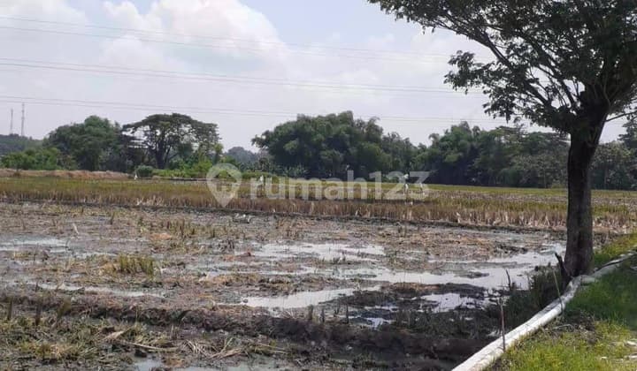 Tanah Hook Lokasi Strategis Dekat Exit Toll Sidoharjo Sragen