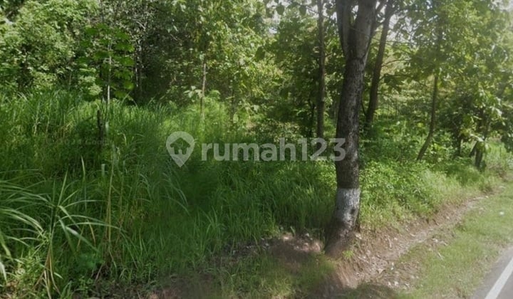 *lahan Tanah Pinggir Jalan Dekat Waduk Gajahmungkur Wonogiri*