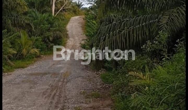 Lahan Tanah Dekat Ikn Prospek Investasi Luas 100 Ha Balikpapan