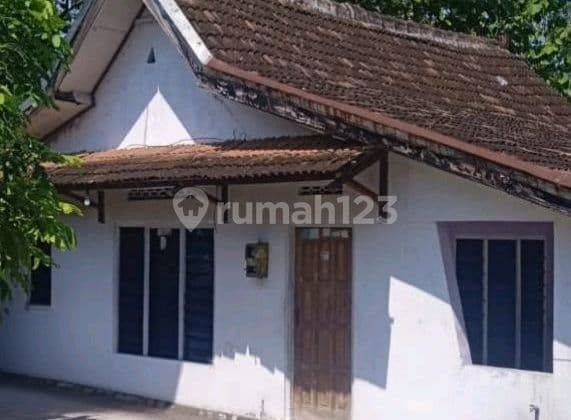 Land Plot in Mojosongo with a House Bonus