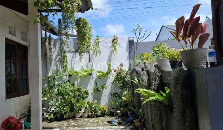 Di Kontrakkan Rumah Siap Huni di Jalan T di Jl. Tunjung Sari No.7x, Padangsambian Kaja, Denpasar Barat, Kota Denpasar, Bali, Indonesia, 80117, Denpasar Barat