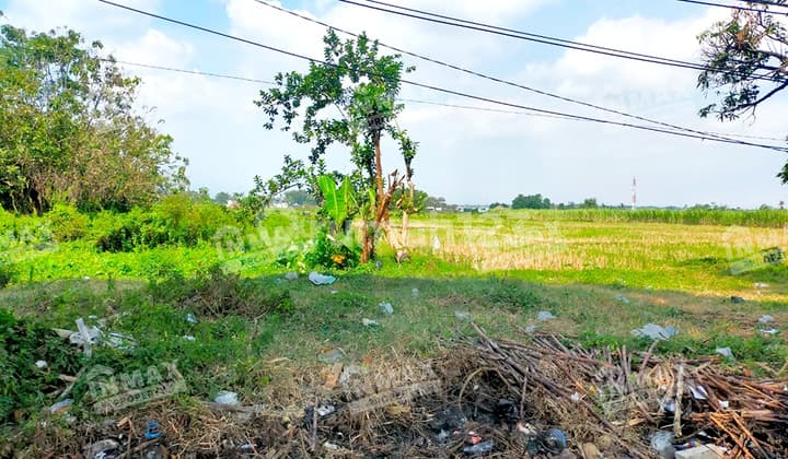 Tanah Luas 5115 di Mondoroko Singosari, Nol Jalan Raya bisa Utk Usaha