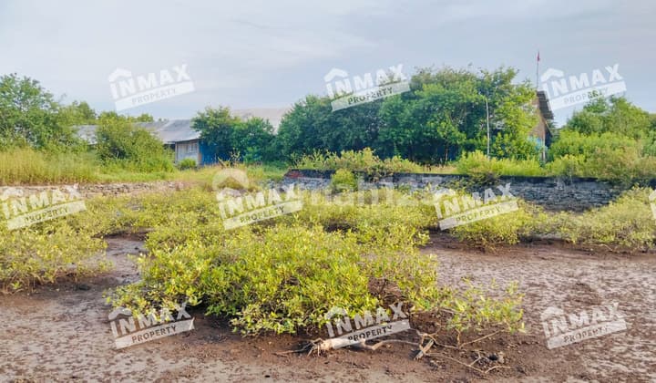 Tanah Luas 51150 Daerah Tongas Probolinggo, Cocok untuk Investasi