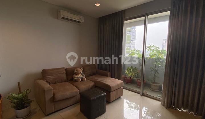 Dijual / Disewakan Paddington Heights South Tower Full Furnished Apartment