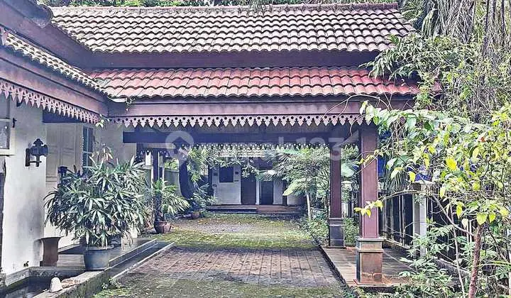 Di Jual Cepat Bu Rumah Adem Asri Ada Kolam Renang di Kalibata Jakarta Selatan