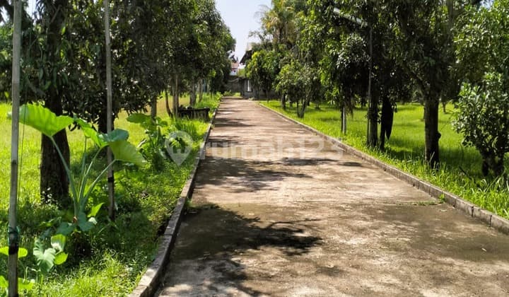 Pabrik Dan Gudang Murah Lokasi Strategis Dekat Pintu Tol Di Pasar Kemis Cikupa Tangerang