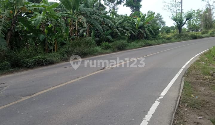 Tanah Murah Lokasi Strategis Akses Kontainer 40 Feet Di Cikande Serang Banten