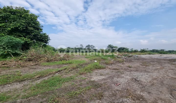 Tanah Kawasan Industri Murah Lokasi Strategis Pinggir Jalan Raya Dekat Exit Tol Di Cikande Serang Banten