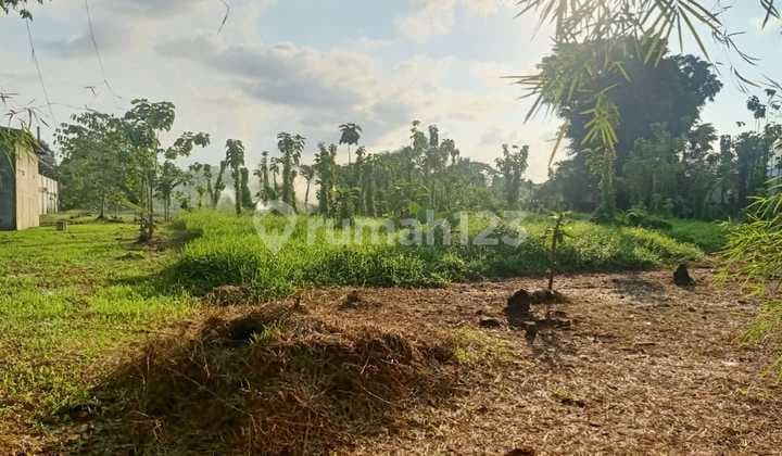 Land for Sale 1.6Ha in Cikande Serang