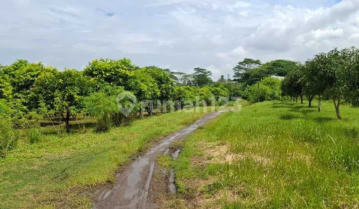 Affordable Land for Sale in Flood-Free Industrial Zone, Ready to Build on Cikande Rangkas Bitung Highway, Banten.