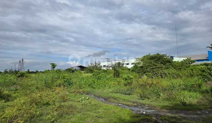 Tanah Gandeng Siap Bangun Lokasi Strategis Akses Kontainter 40ft Bebas Banjir Cocok Untuk Gudang Atau Pabrik Di Kawasan Industri Modern Cikande Serang Banten
