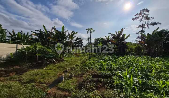 Tanah Murah Lokasi Strategis Siap Bangun di Desa Jatake Pagedangan Kabupaten Tangerang