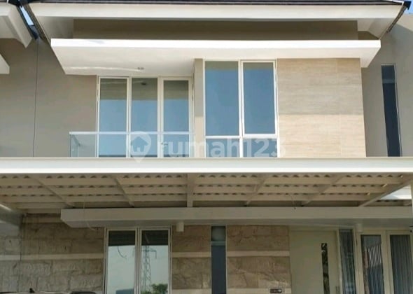 Citraland Greenlake Anemone Citraland Greenlake Anemone