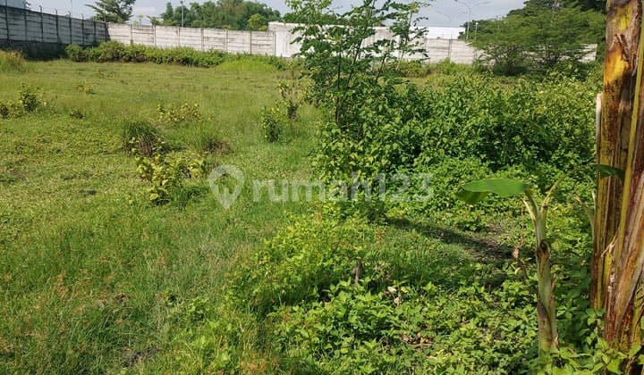 Tanah Padat Tanah Padat