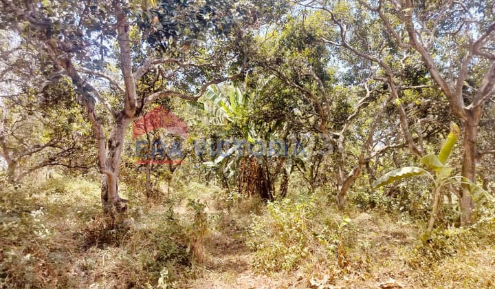 Land Location Near Bakti Alam, Ideal for Livestock Farming Business