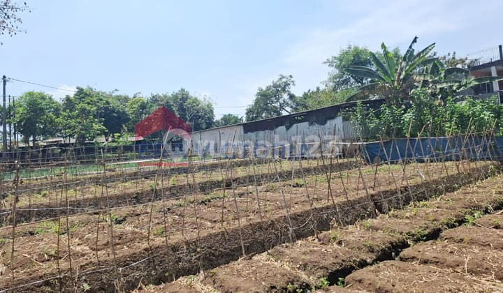 Tanah Ideal untuk Rumah atau Kebun di Batu, Lokasi Super Strategis