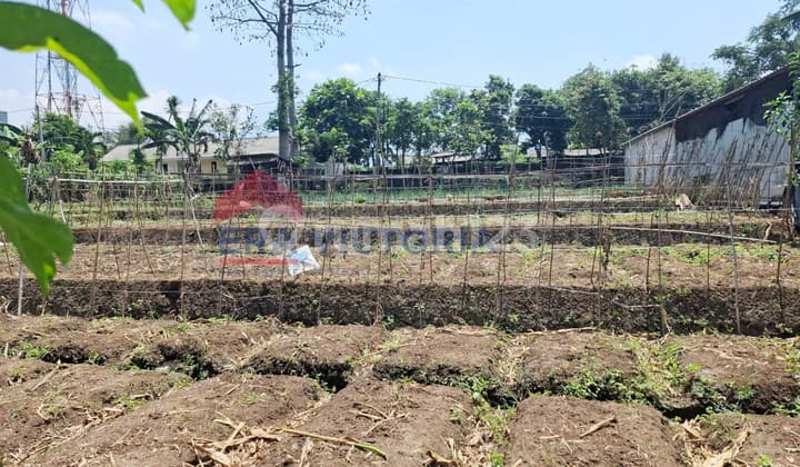 anah Asri & Strategis Batu Cocok untuk Hunian Keluarga atau Investasi