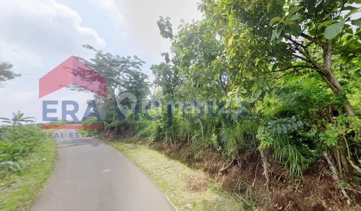 Tanah Luas Area Bandulan Cocok Peternakan Ayam & Agrobisnis