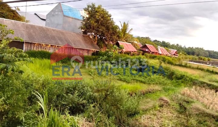 Tanah di Damarwulan Kandangan Jalan Provinsi
