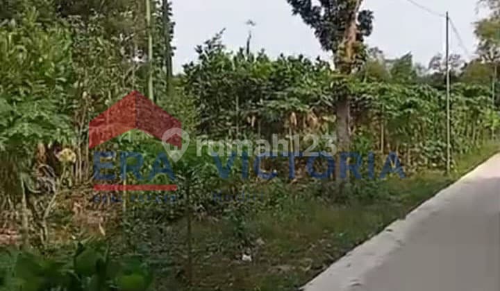 Tanah di Pare Kandangan Dekat Minimarket, Pondok Pesantren, Lapangan, Sekolah