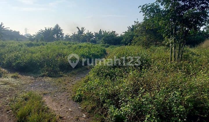 Tanah Kosong Murah Strategis di Legok, Tangerang